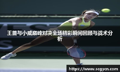 bifa·必发